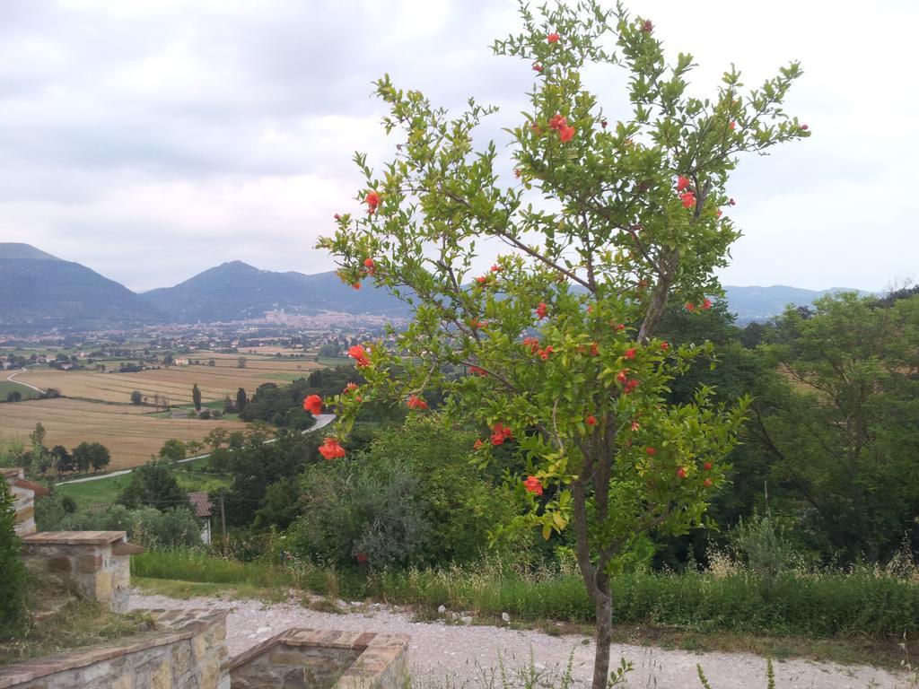 Fonte Chiara Vila Gubbio Quarto foto